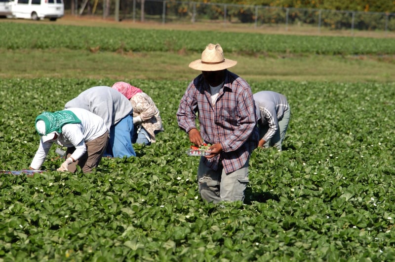 new-immigration-california-labor-law-adds-new-burdens-on-employers